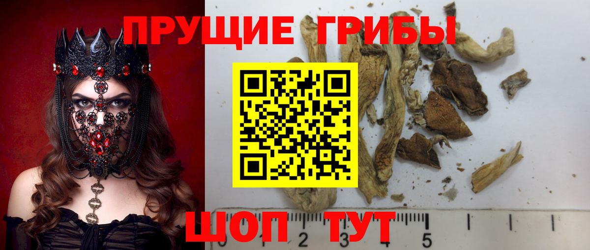 Псилоцибиновые грибы прущие грибы Тобольск
